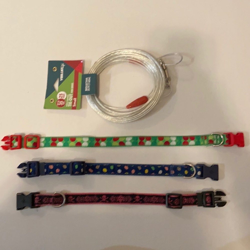 Dog Collar and Small Tie-Out